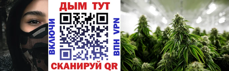 Купить закладку ГАШИШ  Марихуана  Alpha-PVP  Метадон  МЕФ  Каневская